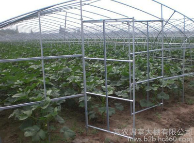 天津富農溫室大棚 打造現代農業的四季溫室家園